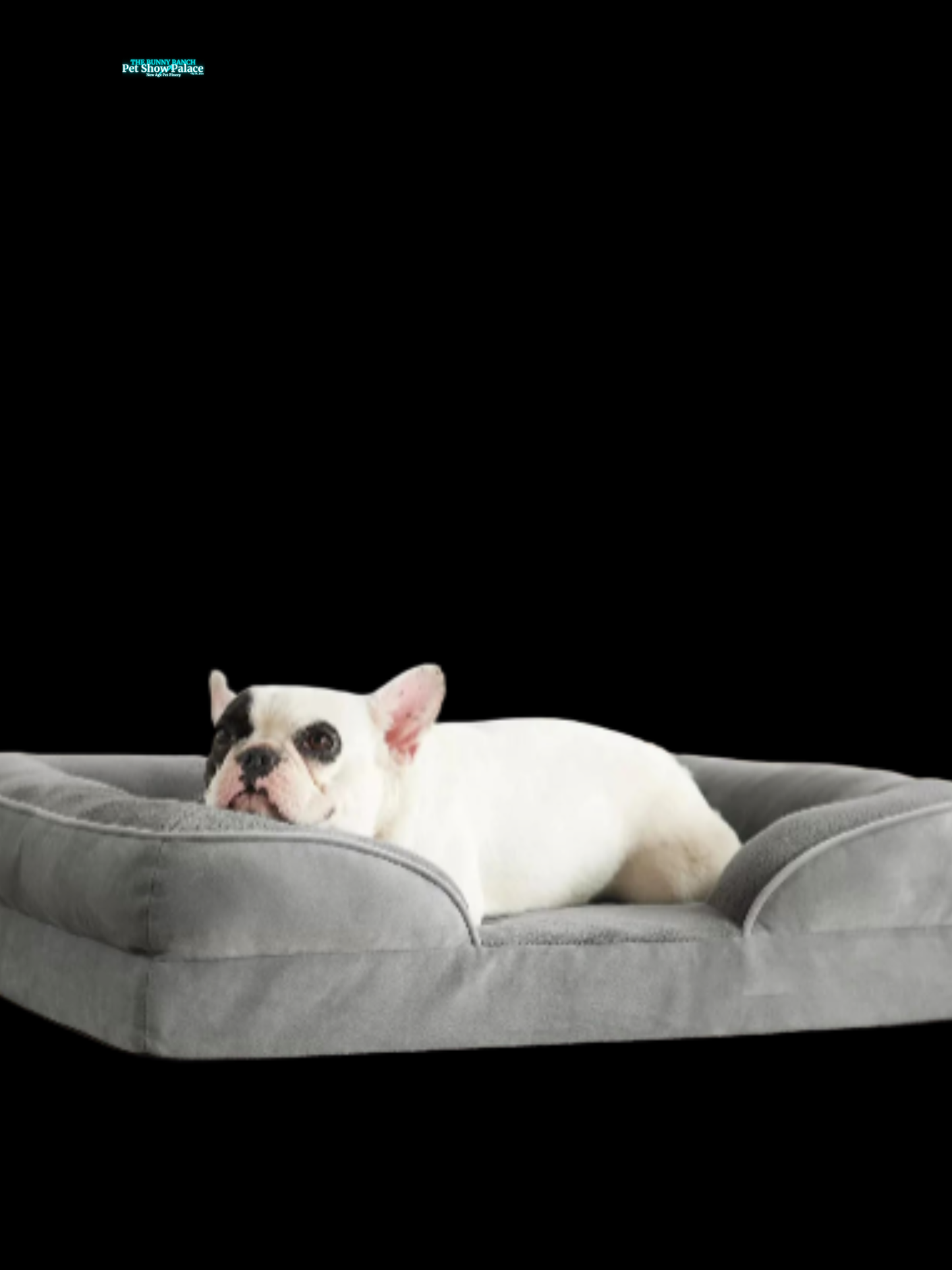Premium Orthopaedic Memory Foam Dog Bed – Ultra-Soft Washable Pet Sofa | Best-Selling Comfort Bed for Dogs Who Run the House
