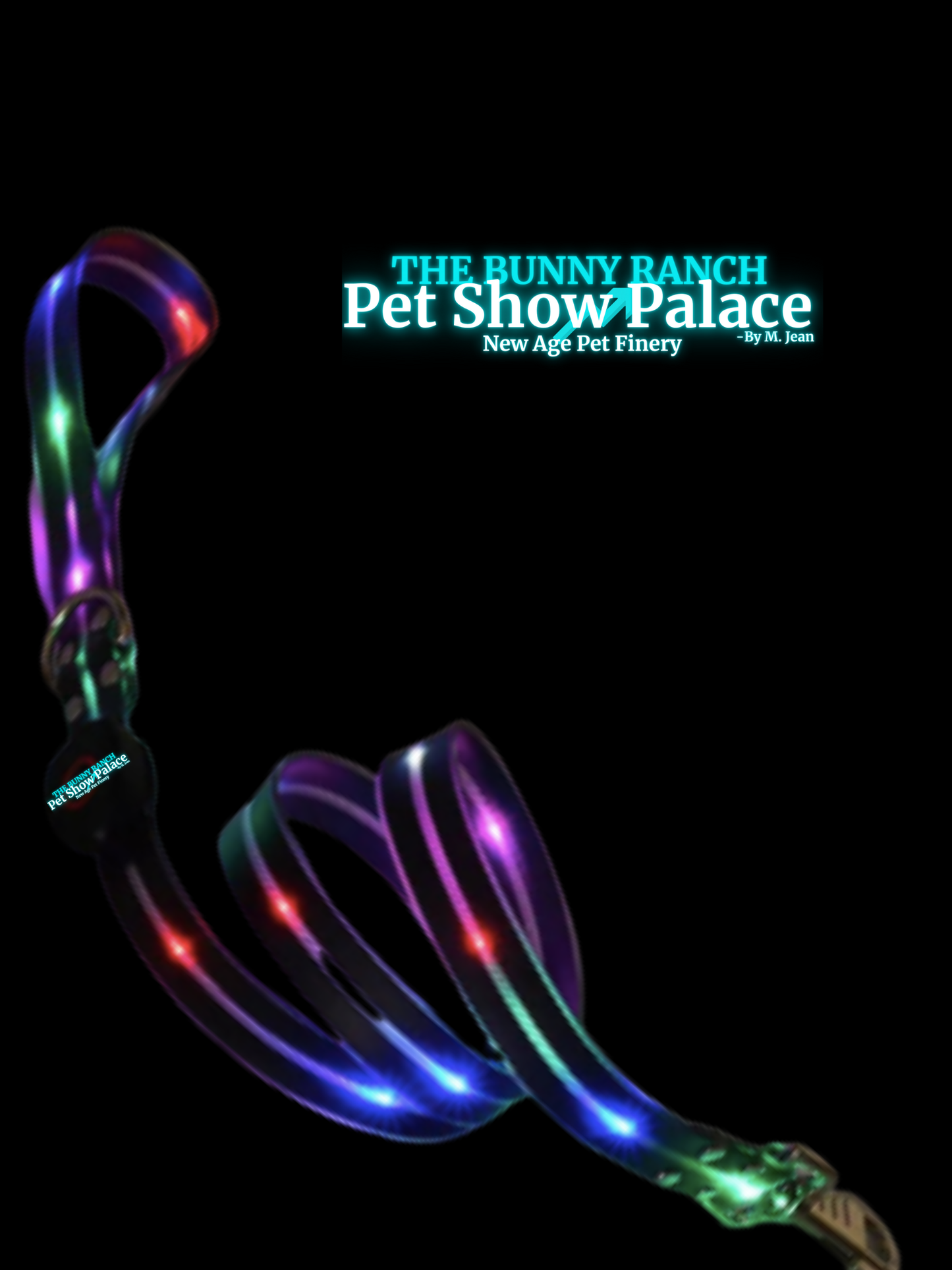 LED Night Glow Dog Collar & Leash – Waterproof, USB Rechargeable, For Dogs That Love Attention