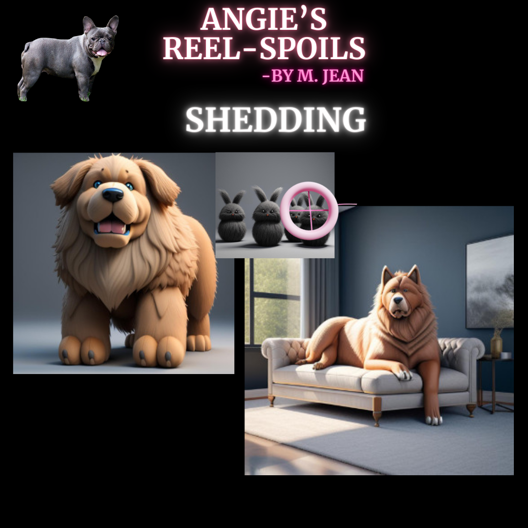 🐶✨ Take-Me-Anywhere™ DeluXe Massage • Anti-Shed Comb • Blow-Dry Fur Styler  Because your pet deserves the glow-up.