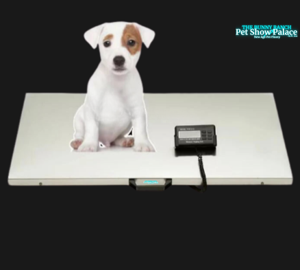 OSCAT- Oversized Digital Pet Scale | Heavy-Duty Stainless Steel Dog & Cat Weighing Scale