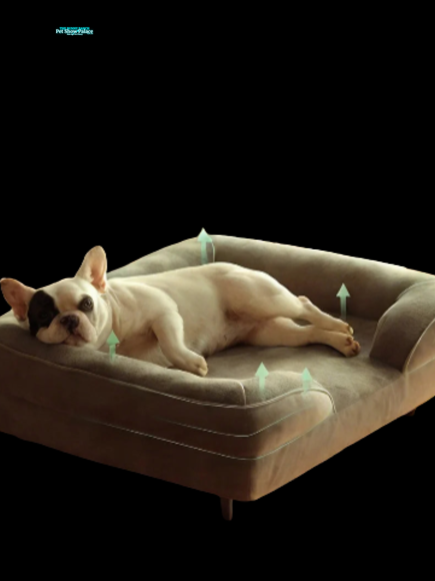 Premium Orthopaedic Memory Foam Dog Bed – Ultra-Soft Washable Pet Sofa | Best-Selling Comfort Bed for Dogs Who Run the House