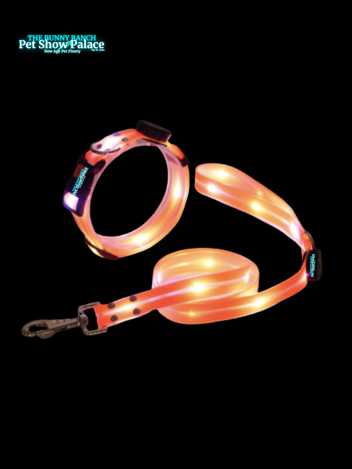 LED Night Glow Dog Collar & Leash – Waterproof, USB Rechargeable, For Dogs That Love Attention