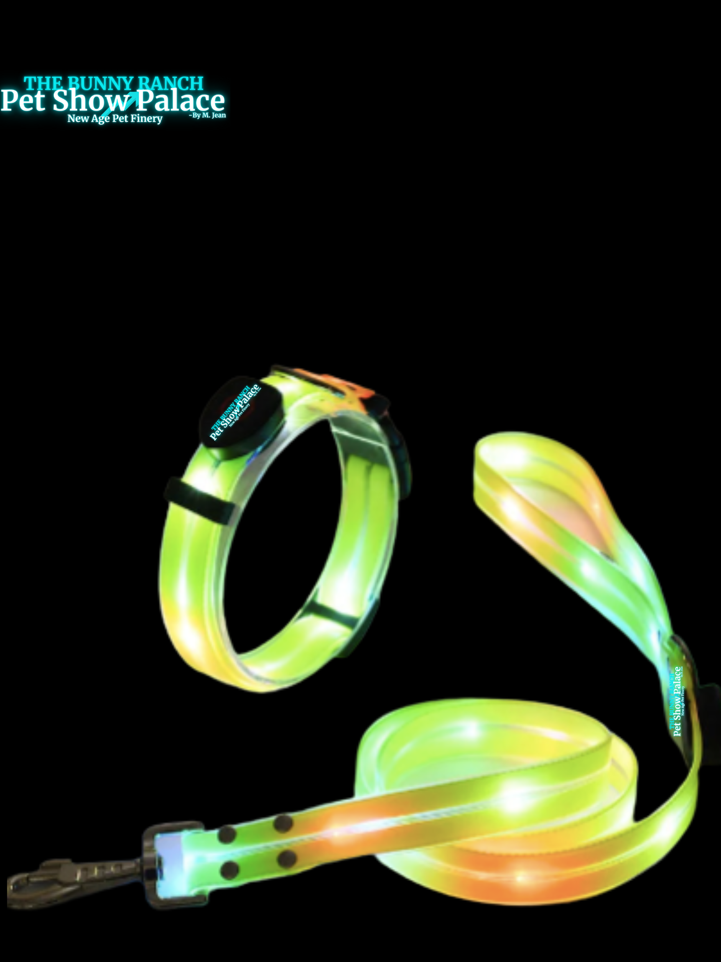 LED Night Glow Dog Collar & Leash – Waterproof, USB Rechargeable, For Dogs That Love Attention