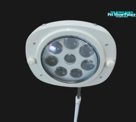 OSCAT- Professional Shadowless LED Pet Grooming Lamp | Adjustable, Flicker-Free, Salon-Grade Lighting