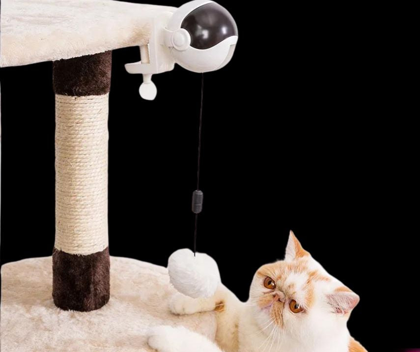 ountable Wrecking Ball Intelligent Cat Toy – Because Your Cat Chose Violence Today