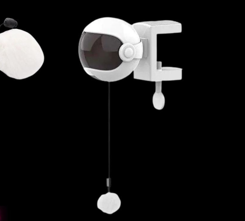 ountable Wrecking Ball Intelligent Cat Toy – Because Your Cat Chose Violence Today