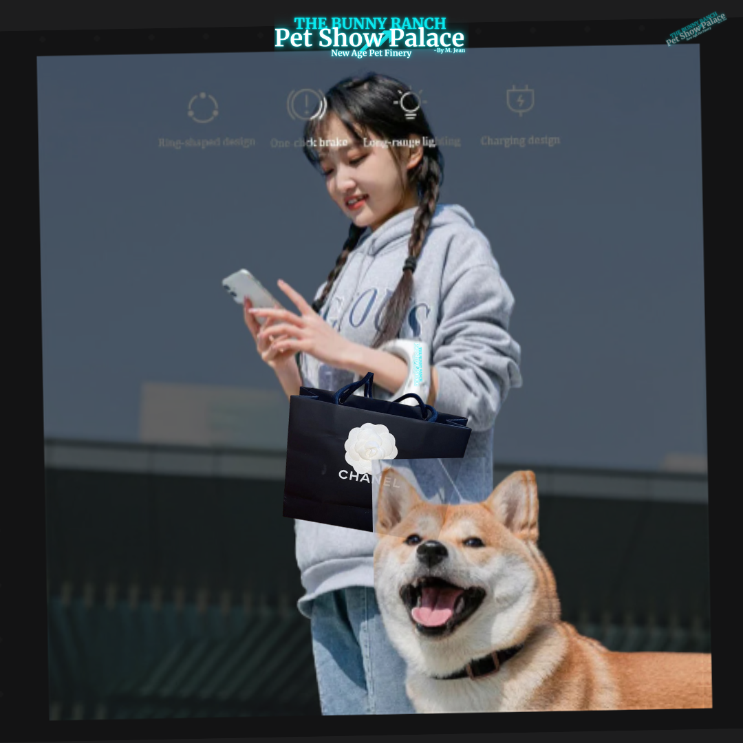 Asian Ferrari LED Hands-Free Dog Leash  – USB-C Light-Up, Retractable, Small Dogs