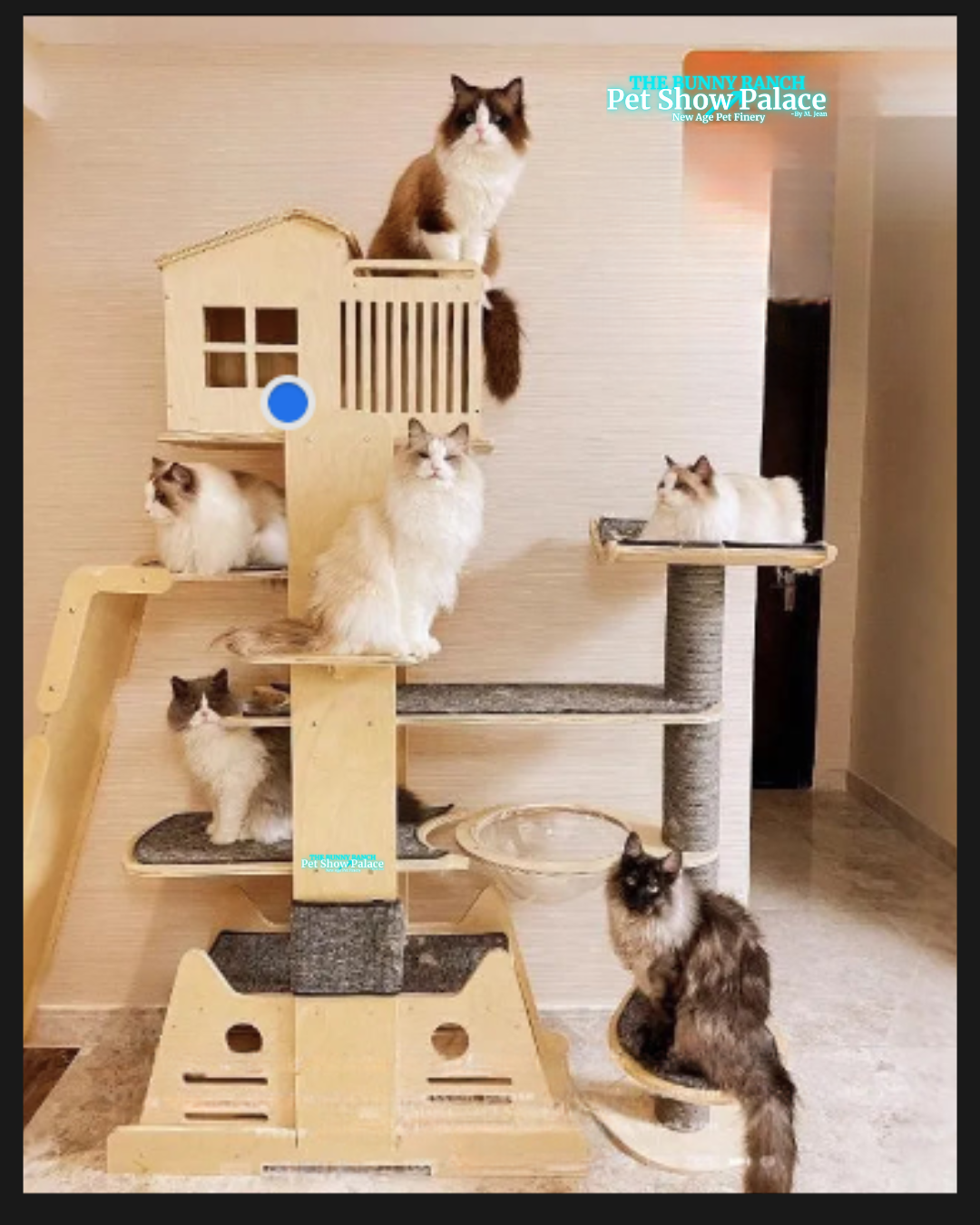 Fluffy Cat Tree House | Multi-Level Wooden Play & Run Wheel