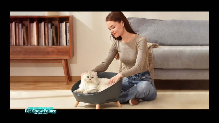 🔥 Heat & Chill Raised Smart Pet Bed | Temperature Controlled Luxury Throne for Cats & Dogs