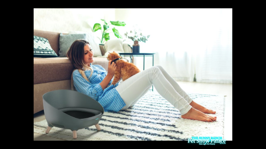 🔥 Heat & Chill Raised Smart Pet Bed | Temperature Controlled Luxury Throne for Cats & Dogs