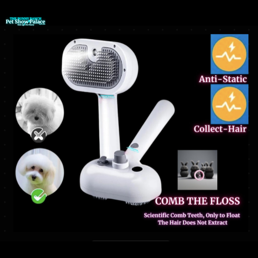 Rechargeable Fur Steamer & Shed Comb | Pet Glam, Tangle-Free, Shedding-Optional (Sassy AF)