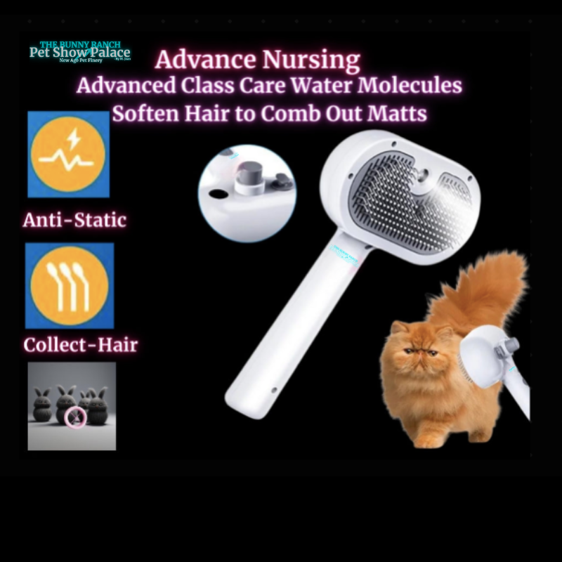Rechargeable Fur Steamer & Shed Comb | Pet Glam, Tangle-Free, Shedding-Optional (Sassy AF)