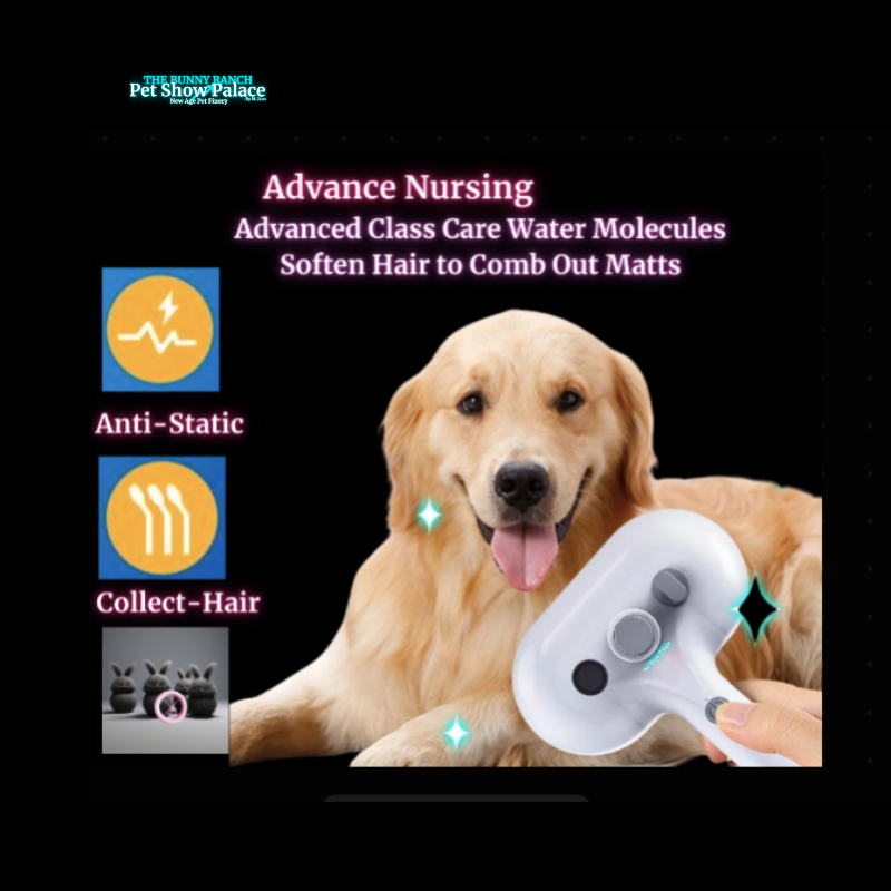 Rechargeable Fur Steamer & Shed Comb | Pet Glam, Tangle-Free, Shedding-Optional (Sassy AF)