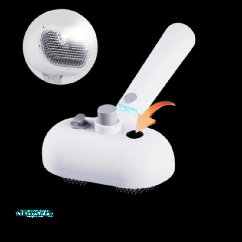 Rechargeable Fur Steamer & Shed Comb | Pet Glam, Tangle-Free, Shedding-Optional (Sassy AF)